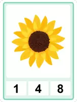 Vista previa - Juegos / Gamificación - ¿Cuántos girasoles hay? - Matemática - Conteo - Primavera - página 3