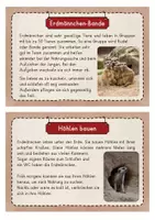 Vorschau - Stationenlernen - Erdmännchen Infokarten - Seite 2