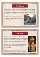 Vorschau - Stationenlernen - Erdmännchen Infokarten - Seite 3