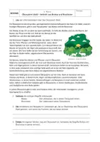Vorschau - Arbeitsblätter - Arbeitsblätter - Ökosystem Wald 7. Klasse - Deckblatt