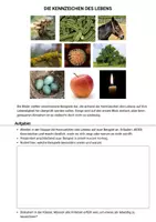 Vorschau - Präsentationen/Tafelbilder - Einführung in die Biologie Kennzeichen des Lebens Lebendigen - Seite 1