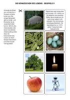 Vorschau - Präsentationen/Tafelbilder - Einführung in die Biologie Kennzeichen des Lebens Lebendigen - Seite 3