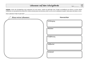 Vorschau - Arbeitsblätter - Kennzeichen Lebewesen: Auf dem Schulgelände untersuchen - Seite 1