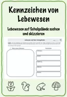 Vorschau - Arbeitsblätter - Kennzeichen Lebewesen: Auf dem Schulgelände untersuchen - Deckblatt