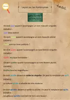 Aperçu - Affichage - Leçon sur les homonymes / Grammaire - Page 2