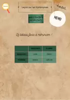 Aperçu - Affichage - Leçon sur les homonymes / Grammaire - Page 3
