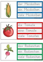 Vorschau - Arbeitsblätter - Abschreibekartei Gemüse - DaZ - Seite 1