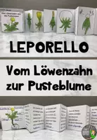 Vorschau - Arbeitsblätter - Leporello - Vom Löwenzahn zur Pusteblume - Deckblatt