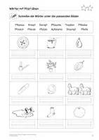 Vorschau - Arbeitsblätter - Laugetreue Wörter mit Pf/pf üben - Einfache und motivierende Übungsmaterialien für Schüler mit sonderpädagogischem Förderbedarf - Seite 3