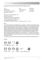 Vorschau - Stundenentwürfe - Popmusik selbst entwickeln - Altersangemessene Musik für Schüler mit geistiger Behinderung erfahrbar machen - Seite 3