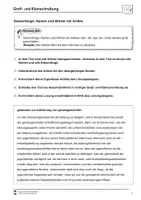 Vorschau - Stundenentwürfe - Abschreibdiktate 1 - Groß-und Kleinschreibung 7.-10. Klasse - Seite 2