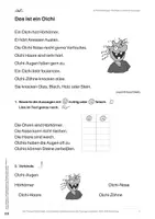 Vorschau - Stundenentwürfe - Lesekompetenz: Richtige & falsche Aussagen - Trainingsmaterialien für den inklusiven Unterricht - Seite 3