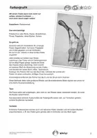 Vorschau - Mal- und Bastelvorlagen - Einfache Bastelideen für den Winter - Originelle Basteleien zum Verschenken, Dekorieren und Spielen -sonderpädagogische Förderung - Seite 3