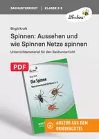 Vorschau - Unterrichtsreihen - Spinnen: Aussehen und wie Spinnen Netze spinnen - Seite 1