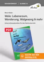 Vorschau - Unterrichtsreihen - Wale: Lebensraum, Wanderung, Walgesang & mehr - Deckblatt