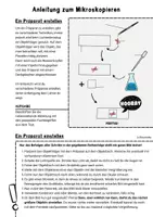 Vorschau - Arbeitsblätter - Arbeitsblatt Anleitung zum Mikroskopieren - Seite 1