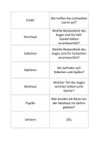 Vorschau - Spiele - Lerndomino "Menschliches Auge und Licht" - Deckblatt
