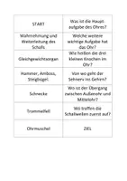 Vorschau - Spiele - Lerndomino "Menschliches Ohr" - Deckblatt