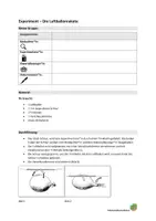 Vorschau - Arbeitsblätter - Experiment zum Thema Luft - Die Luftballonrakete - Deckblatt