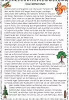 Vorschau - Spiele - Eichhörnchen Leseweg, Sachtext, Leseförderung Sachunterricht, Leseverständnis, Lesetraining, Lesekompetenz Herbst - Seite 2