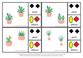 Aperçu - Apprentissages en autonomie - Carte à Pince pareil/différent des Cactus - Page 1