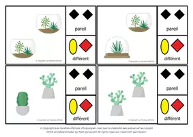 Aperçu - Apprentissages en autonomie - Carte à Pince pareil/différent des Cactus - Page 3