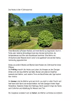 Vorschau - Arbeitsblätter - Die Hecke in den vier Jahreszeiten Text Bilder Aufgaben Lösung - Seite 2