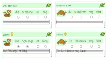 Vorschau - Stationenlernen - Abschreibkartei: Groß und Kleinschreibung - Safari - Seite 3