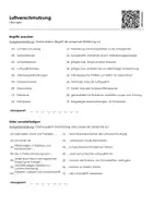 Vorschau - Arbeitsblätter - Luftverschmutzung (Infotext und Übungen) - Seite 1