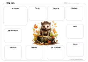 Vorschau - Arbeitsblätter - Igel - Mindmap - KOSTENLOS - Seite 2