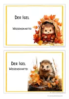 Vorschau - Arbeitsblätter - Igel - Wissenskartei und Arbeitsheft im Set - Seite 3