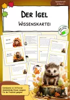 Vorschau - Arbeitsblätter - Igel - Wissenskartei und Arbeitsheft im Set - Seite 1