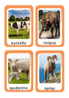 Προεπισκόπηση - Flashcards - Μοντεσσοριανό πακέτο Μνημεία και Φάρμα - Σελίδα 3