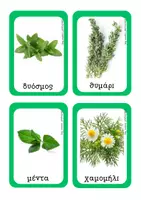 Προεπισκόπηση - Flashcards - αρωματικά φυτά - μοντεσσοριανή προσέγγιση - Σελίδα 1