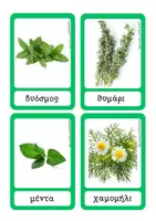 Προεπισκόπηση - Flashcards - αρωματικά φυτά - μοντεσσοριανή προσέγγιση - Σελίδα 2