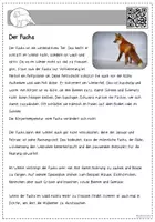 Vorschau - Text - Tiere im Winter - Steckbriefe - Seite 2
