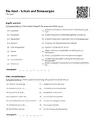 Vorschau - Arbeitsblätter - Die Haut - Schutz und Sinnesorgan (Informationstext und Übungen) - Seite 1