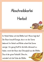 Vorschau - Aufgabenkarten - Abschreibkartei Herbst - 5 Karten zum selbständigen Abschreibtraining - Seite 2