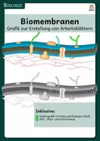 Vorschau - selbst erstellte Cliparts/Grafiken - Biomembranen - Grafik zur Erstellung von Arbeitsblättern - Deckblatt