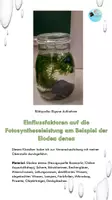 Vorschau - Experimente - Einflussfaktoren auf die Fotosynthese am Beispiel der Elodea densa - Deckblatt