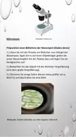 Vorschau - Experimente - Einflussfaktoren auf die Fotosynthese am Beispiel der Elodea densa - Seite 3