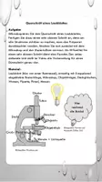 Vorschau - Arbeitsblätter - Blattquerschnitt und Fotosynthese am Beispiel der Buntnessel - Seite 1