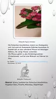 Vorschau - Arbeitsblätter - Mikroskopie: Stomata Kalanchoe blossfeldiana mit Theorieteil (ABA) - Seite 1