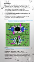 Vorschau - Arbeitsblätter - Mikroskopie: Stomata Kalanchoe blossfeldiana mit Theorieteil (ABA) - Seite 3