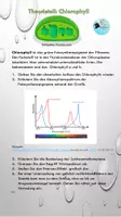Vorschau - Arbeitsblätter - Dünnschichtchromatographie der Blattpigmente Theorie + Praxisteil - Seite 1