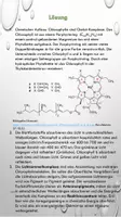 Vorschau - Arbeitsblätter - Dünnschichtchromatographie der Blattpigmente Theorie + Praxisteil - Seite 2