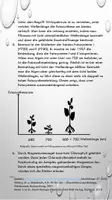 Vorschau - Arbeitsblätter - Dünnschichtchromatographie der Blattpigmente Theorie + Praxisteil - Seite 3