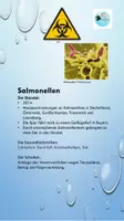 Vorschau - Präsentationen/Tafelbilder - Die größten Lebensmittelskandale - Seite 2