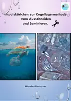 Vorschau - Unterrichtsreihen - Endokrine Disruptoren - "Krank durch Plastik?!" - Seite 2