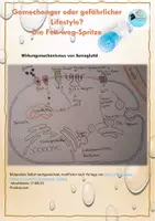 Vorschau - Arbeitsblätter - Semaglutid: Gamechanger oder gefährlicher Lifestyle? - Seite 2